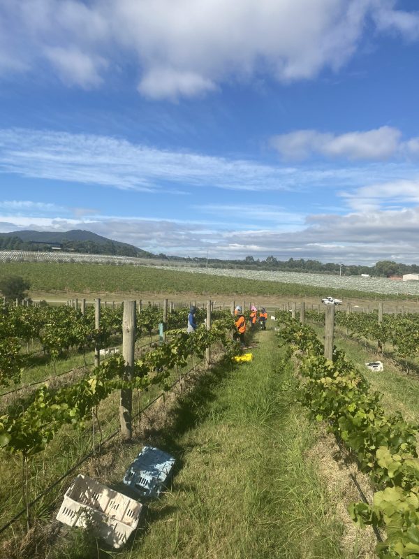 Photo 16-3-2023, 10 43 02 am