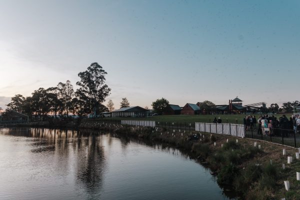 RochfordPlatapus-0782