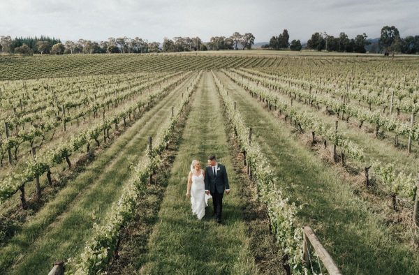 rochford-wines-yarra-valley-supplierprofilelive-photo-028cb069-9dea-459d-970a-1d28c565a448